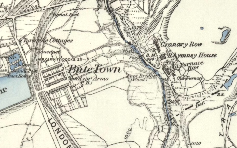 Ordnance Survey map showing Bute Town around 1889